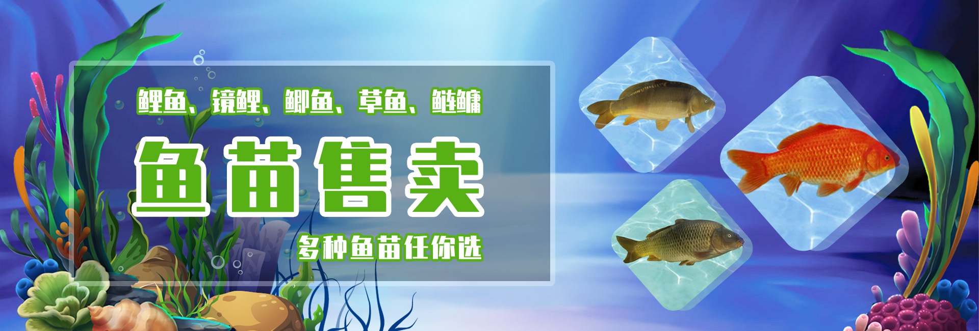 &#20048;&#40060;