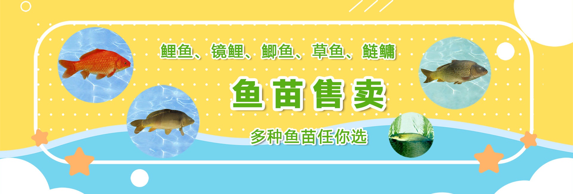 &#20048;&#40060;