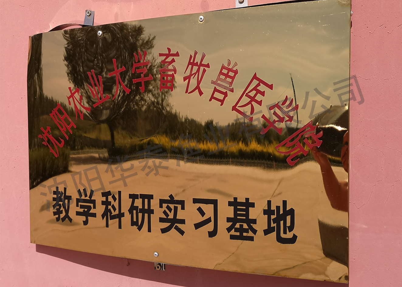 &#20048;&#40060;